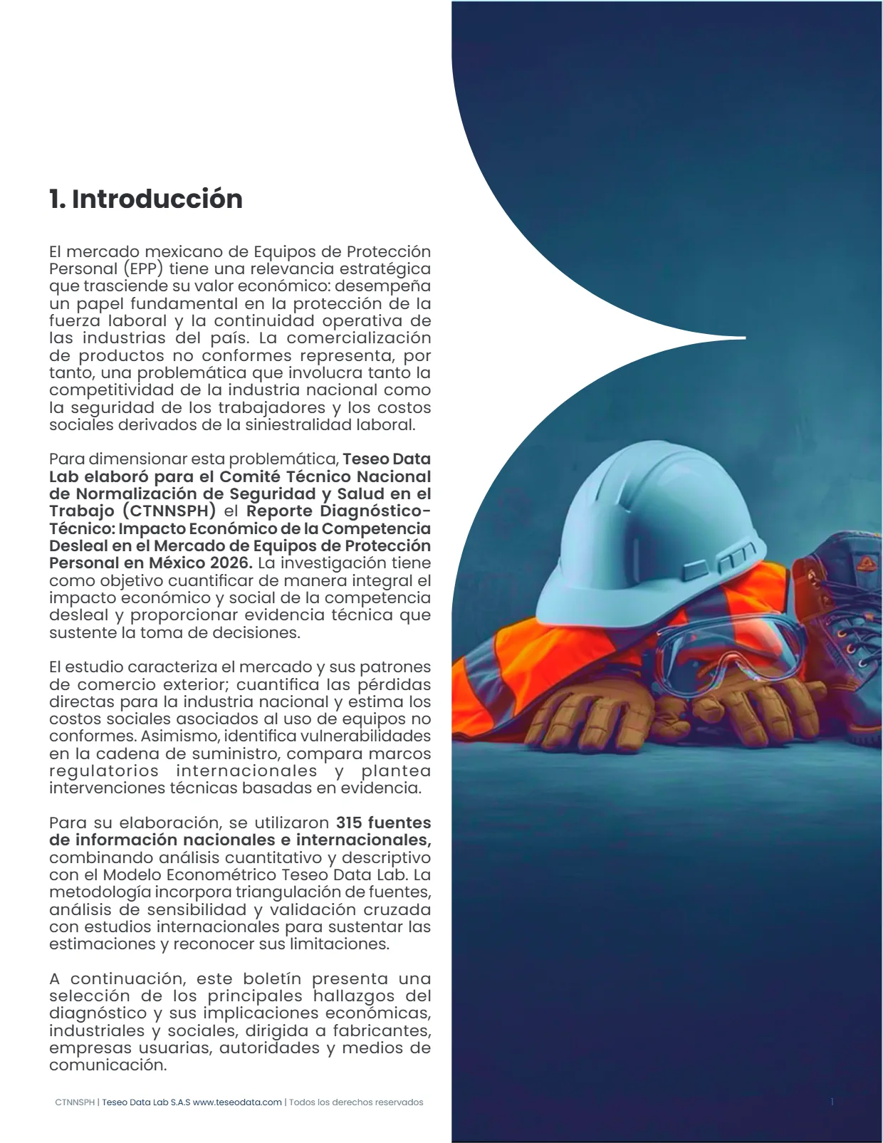 Competencia Desleal en el Mercado de EPP en México 2026 — página 2